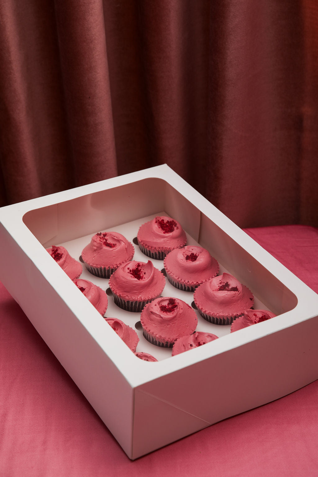 Chocolate and raspberry (12 pack)