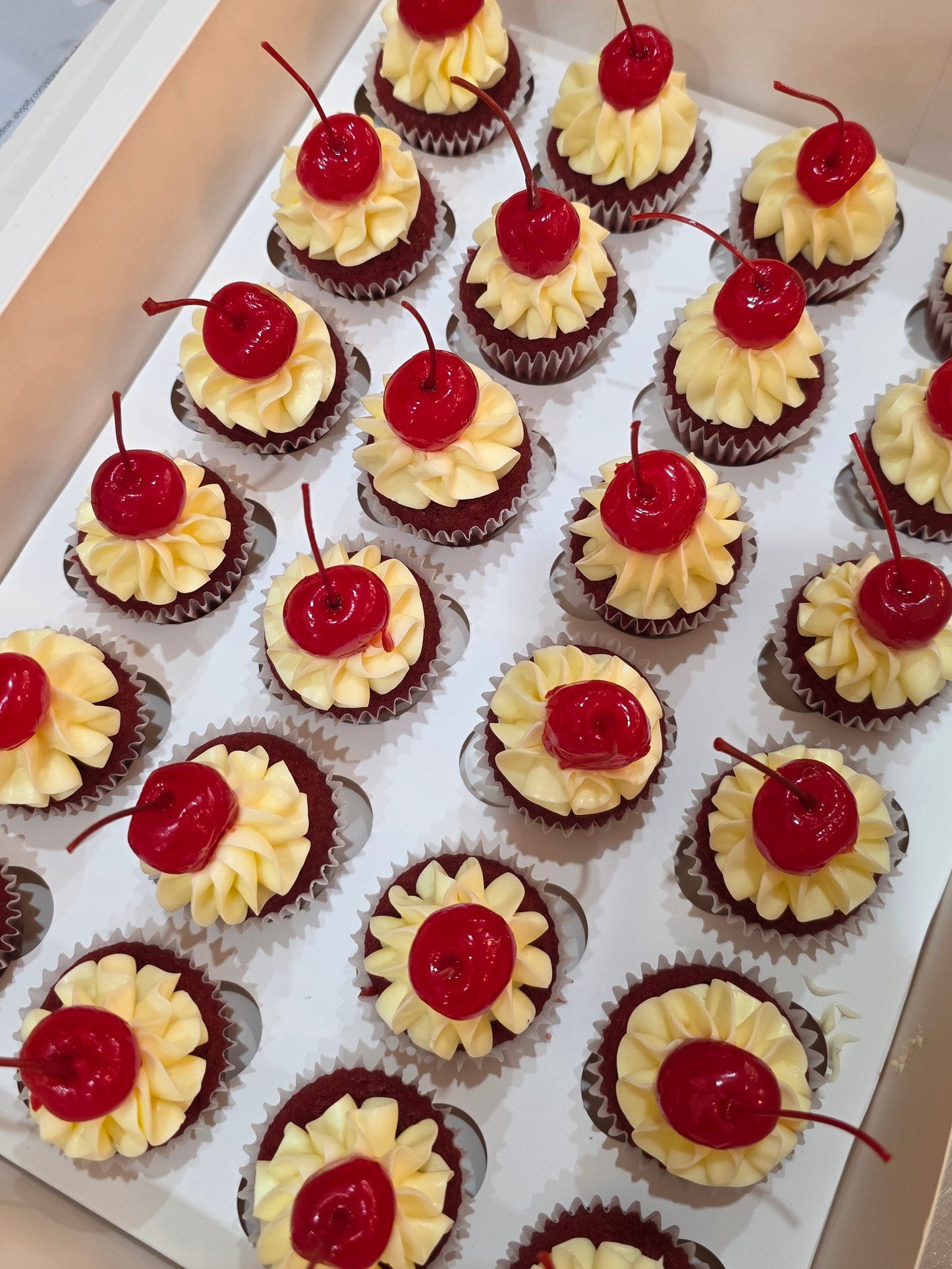 Mini Cupcakes - Red Velvet (24 pack)