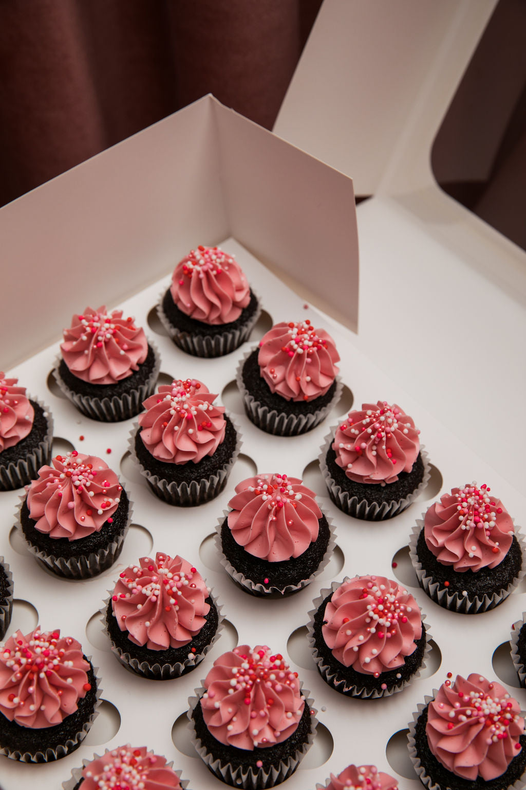 Mini Cupcakes - Chocolate and raspberry (24 pack)